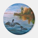 Search for loons magnets Wildlife