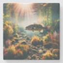 Search for large coasters Nature