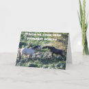 Search for funny moose cards Cute