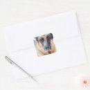 Search for closeup stickers Puppy