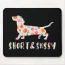 Search for weenie electronics Wiener dog