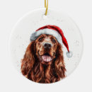 Search for irish setter christmas tree decorations Santa