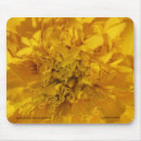 Search for multi region Flower
