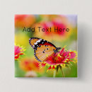 Search for butterfly red badges Flowers