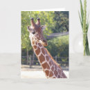 Search for giraffe christmas cards Nature