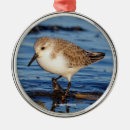 Search for sandpiper christmas tree decorations Wildlife
