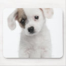 Search for animal crossing mousepads Animals