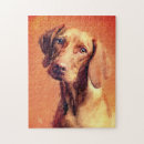 Search for vizsla dog puzzles Hungarian
