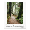 Search for redwood tree posters Woods