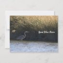 Search for make great postcards Outdoors
