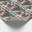 Search for basset hounds wrapping paper Merry christmas