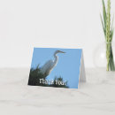 Search for great egret cards Wildlife