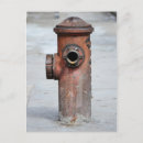 Search for são paulo postcards Vintage