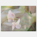 Search for ethereal rectangular magnets Flowers