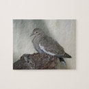Search for dove puzzles Photography