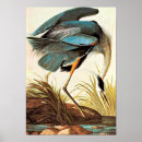 Search for audubon crane posters Vintage
