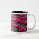 Search for spring bulbs mugs Flower