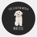 Search for maltese dogs stickers Poodle