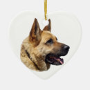 Search for cops pet supplies Canine