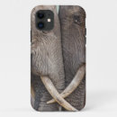 Search for universal iphone iphone cases There