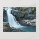 Search for mount rainier national park postcards Danita delimont
