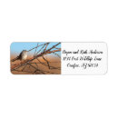 Search for sparrow return address labels Wildlife