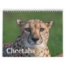 Search for cheetah calendars Big cats