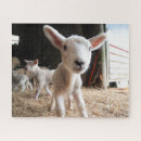Search for lamb puzzles Cute