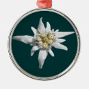 Search for edelweiss christmas tree decorations Flower