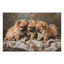 Search for pet pomeranian posters Puppy