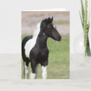 Search for vanner cards Animal