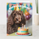 Search for cockapoo birthday cards Dog