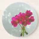 Search for geranium barware Pink