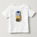 Search for franciscan tshirts Julie eggers