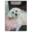 Search for fancy clipboards Cute