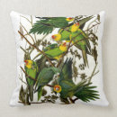 Search for parakeet cushions Parrots