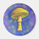 Search for magic mushroom magnets Fungi