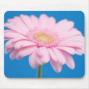 Search for gerbera mousepads Pink