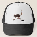 Search for flightless bird accessories Nature