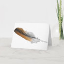 Search for tail feathers cards Hawk