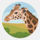 Search for spotted giraffe stickers Nature