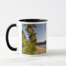 Search for seychelles mugs Scenic