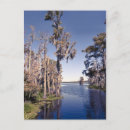 Search for pearl postcards Mississippi