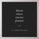Search for bloom where you are planted posters Inspirational