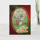 Search for chipmunk christmas cards Squirrel