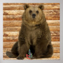 Search for cabin crew photography Bear