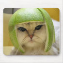 Search for internets mousepads Cat
