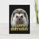 Search for hedgehog birthday cards Animal