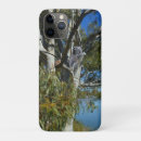 Search for koala australia iphone cases Bear