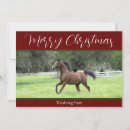 Search for horse farm christmas cards Equestrian
